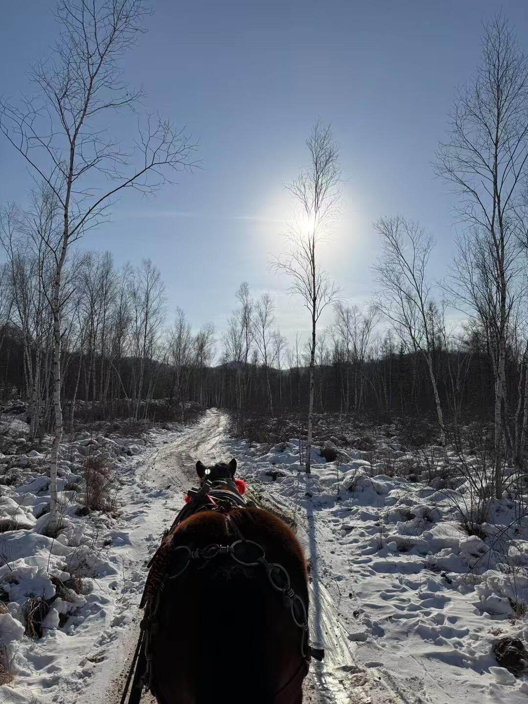 5-Day Northeast China Ice &amp; Snow Wonderland Tour