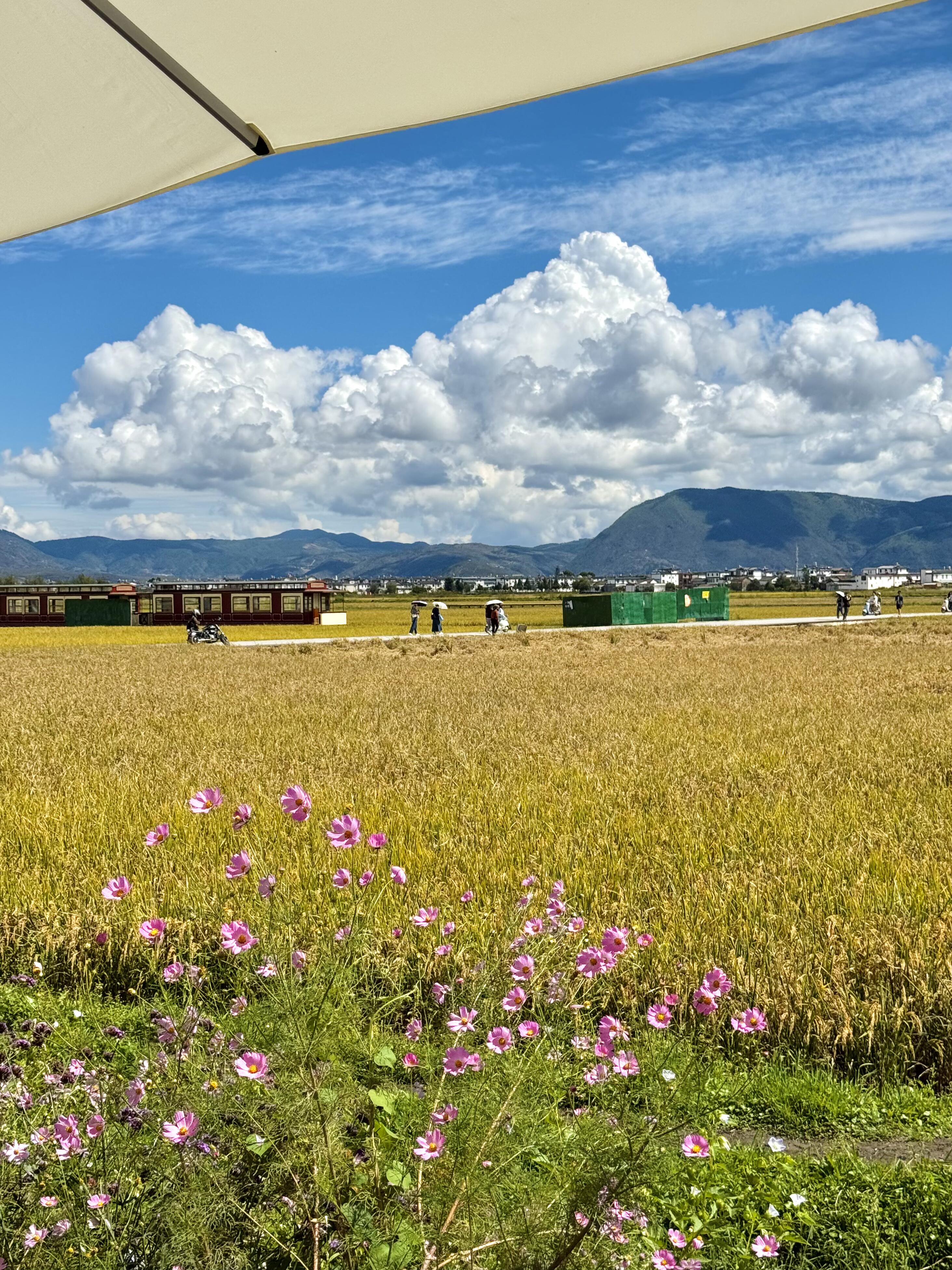 Kunming Dali Lijiang Group Tour