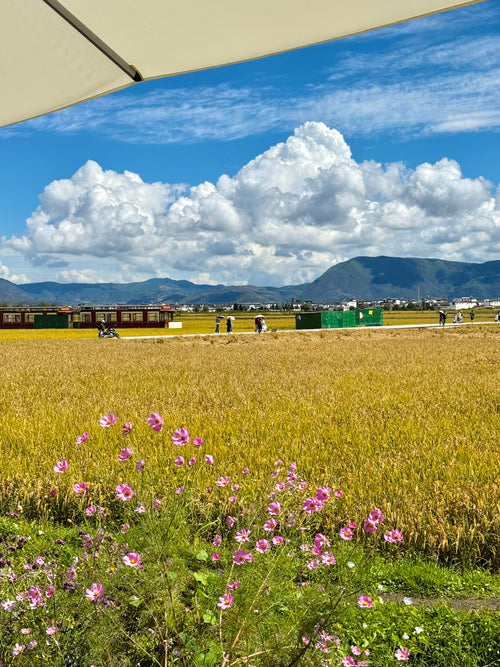 Kunming Dali Lijiang Group Tour